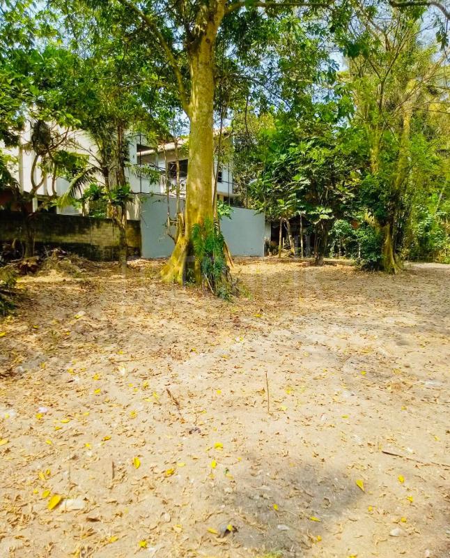 Commercial Land for Sale in Unawatuna