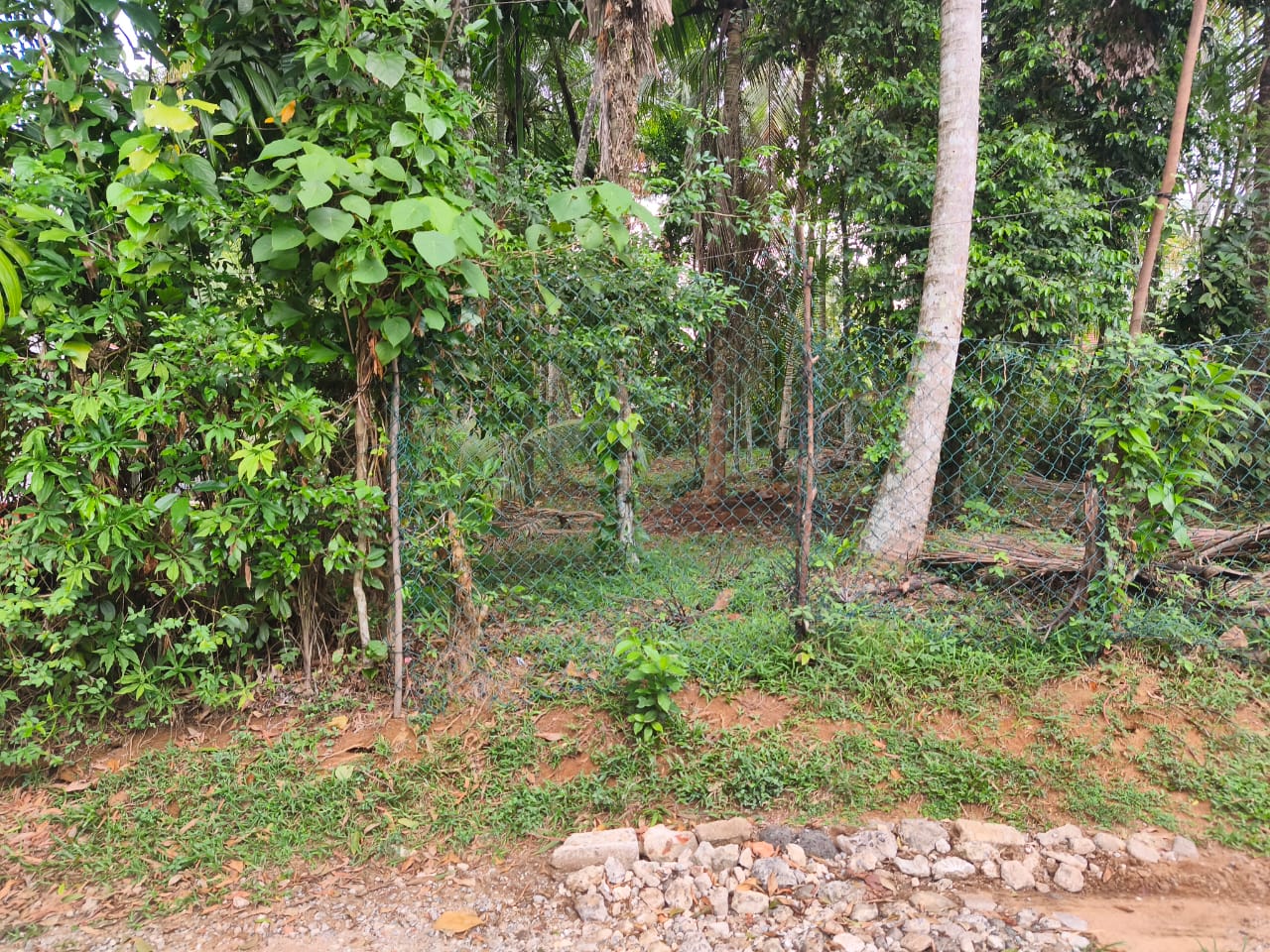 Residential Land for Sale in Kadawatha