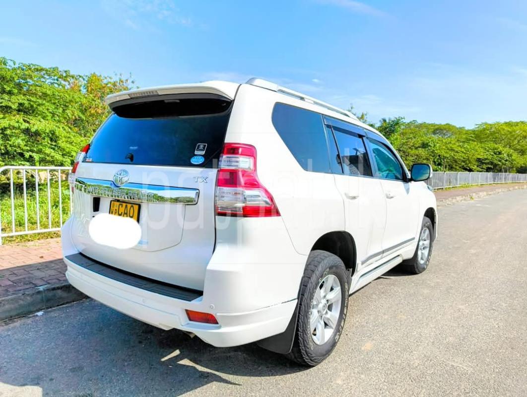 Advertisement image 2