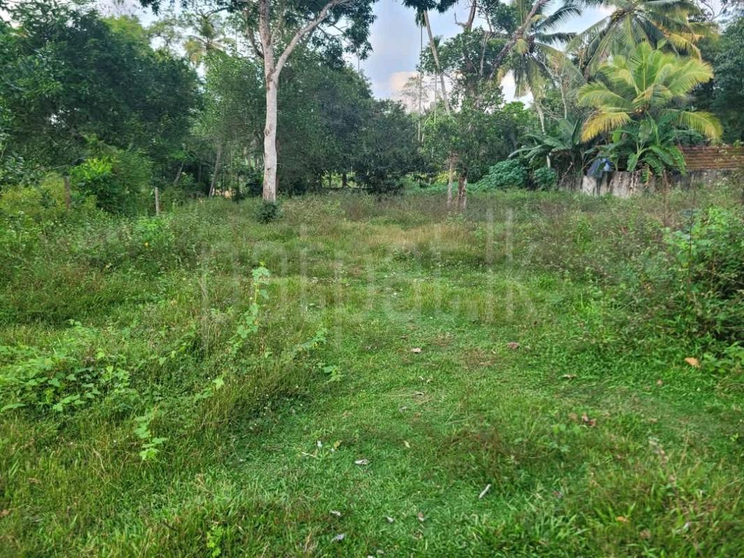 Residential Land for Sale in Weligama ads-image-1