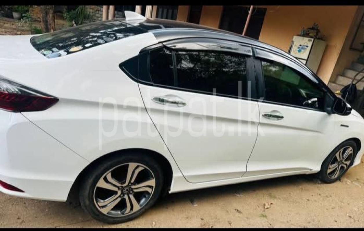 Advertisement image 3