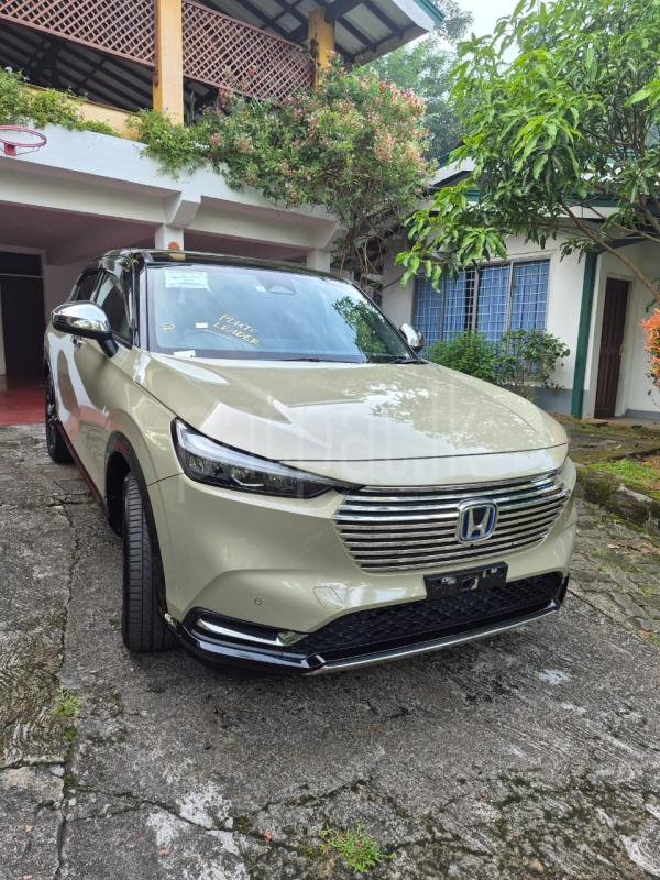 Advertisement image 4