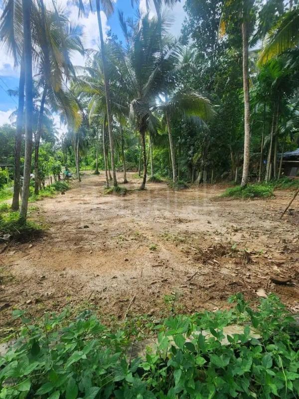 Commercial Land for Sale in Meegoda
