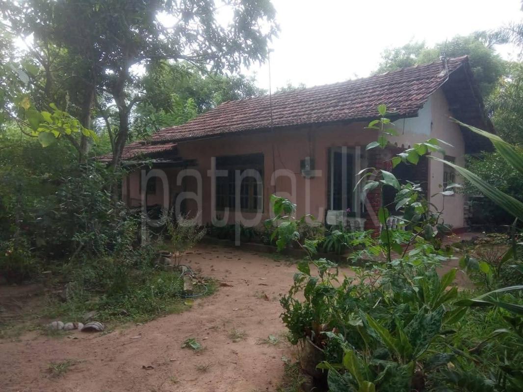 House for Sale in Divulapitiya