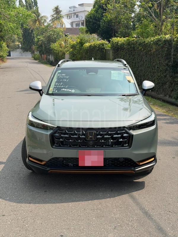 Advertisement image 1