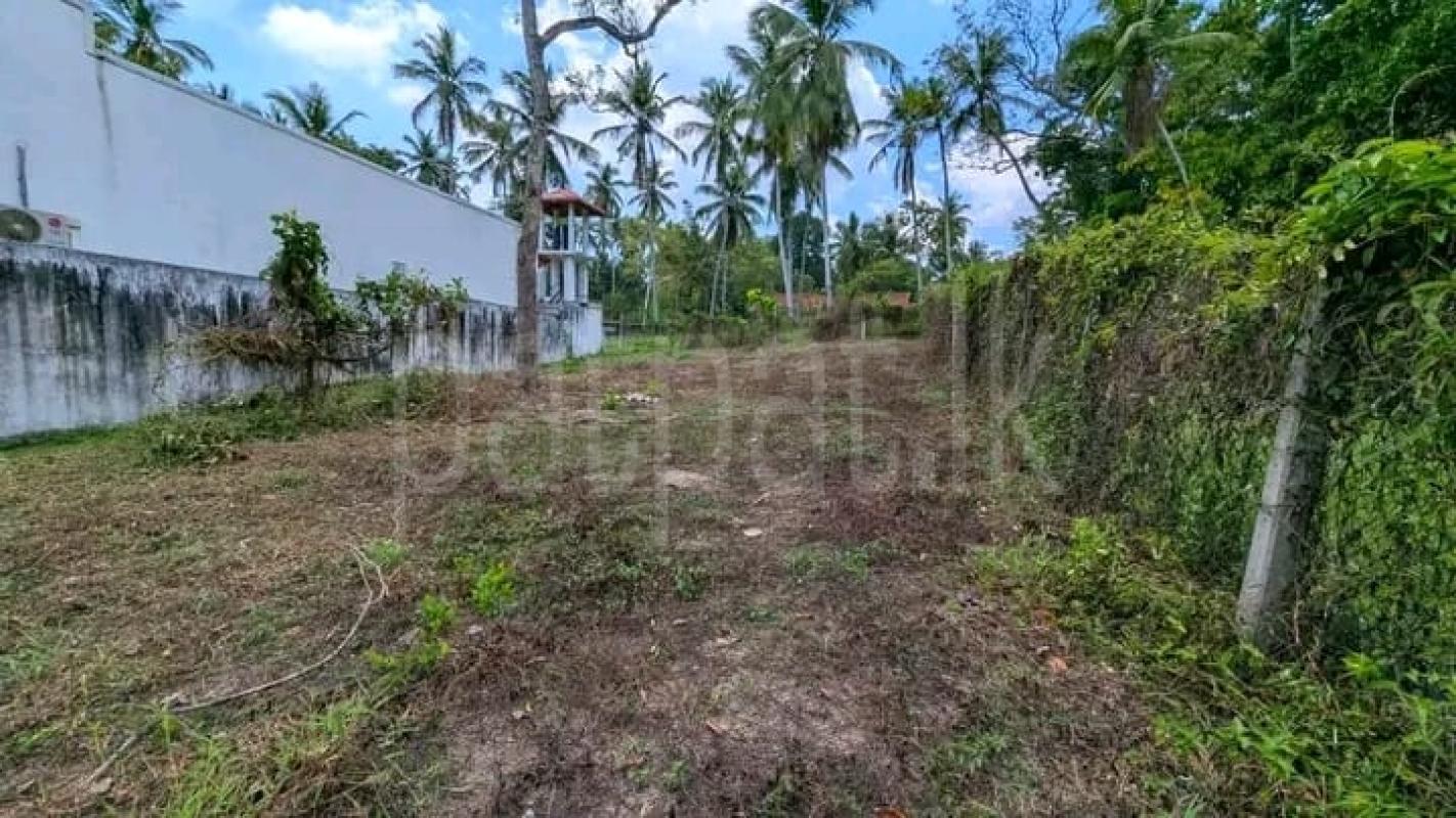 Commercial Land for Sale in Minuwangoda ads-image-1