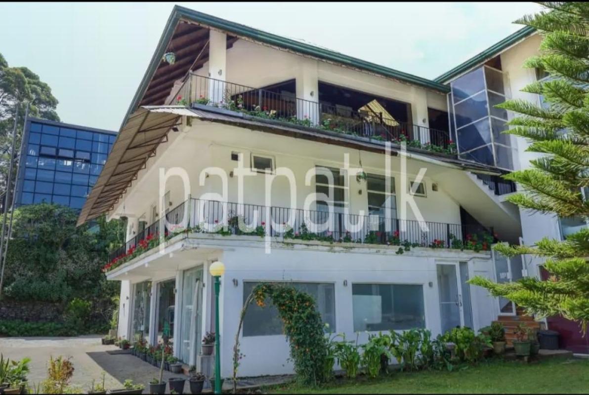 Advertisement image 2