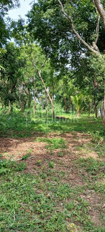 Residential Land for Sale in Kataragama