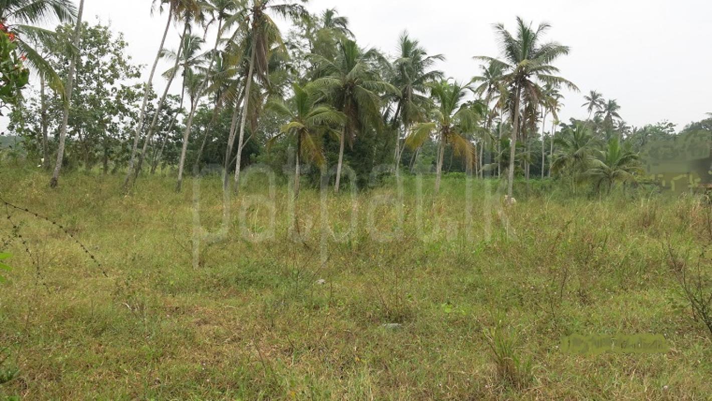 Commercial Land for Sale in Minuwangoda