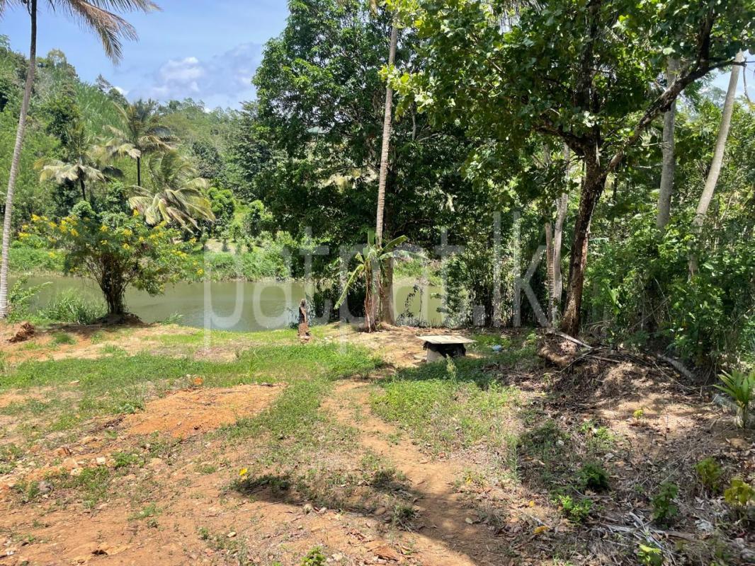 Residential Land for Sale in Balangoda