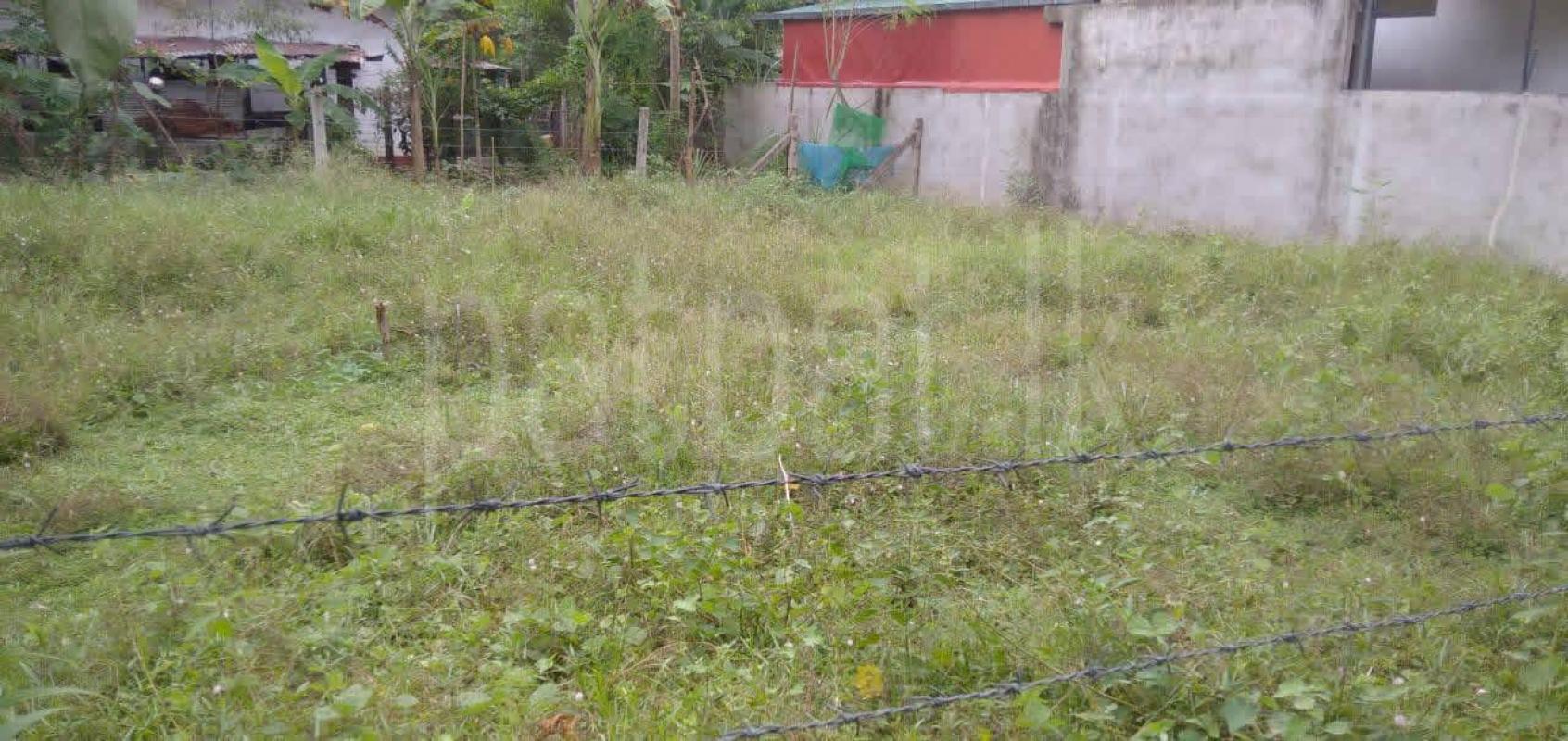 Agricultural Land for Sale in Horana ads-image-1