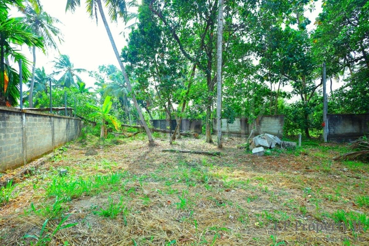 Residential Land for Sale in Rajagiriya ads-image-1