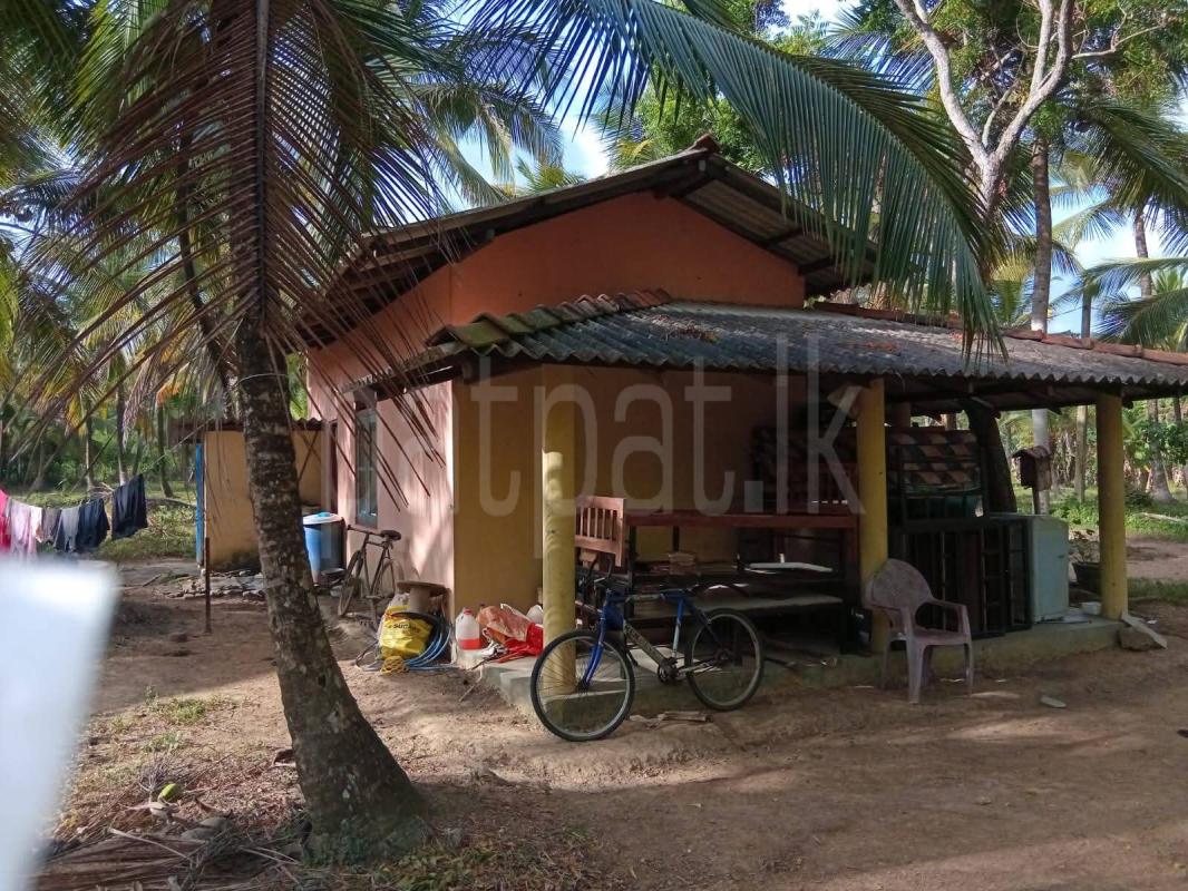 Seasonal Room for Sale in Badalgama