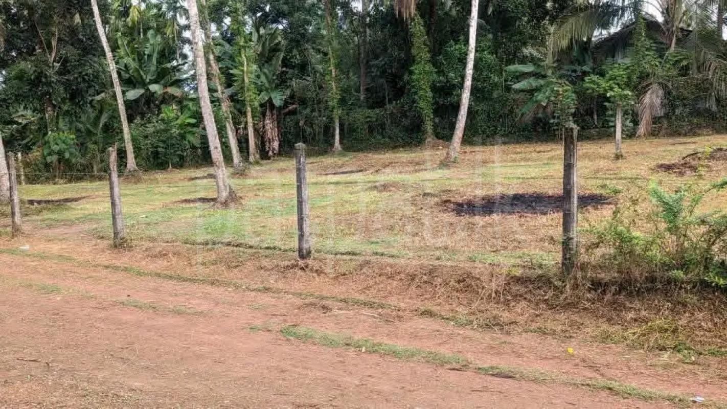 Agricultural Land for Sale in Gampola