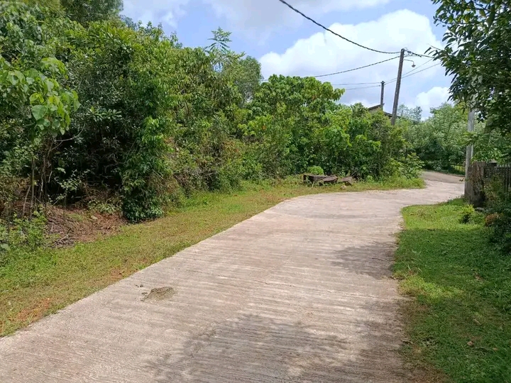 Commercial Land for Sale in Minuwangoda