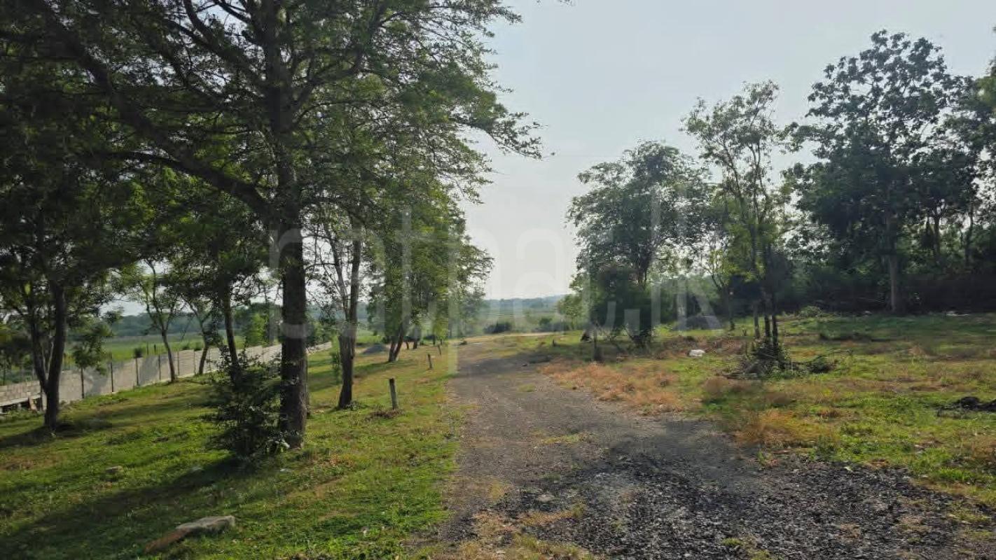 Residential Land for Sale in Tangalla