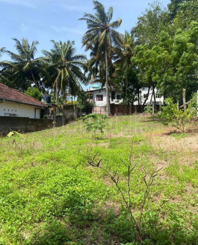 Commercial Land for Sale in Kotte