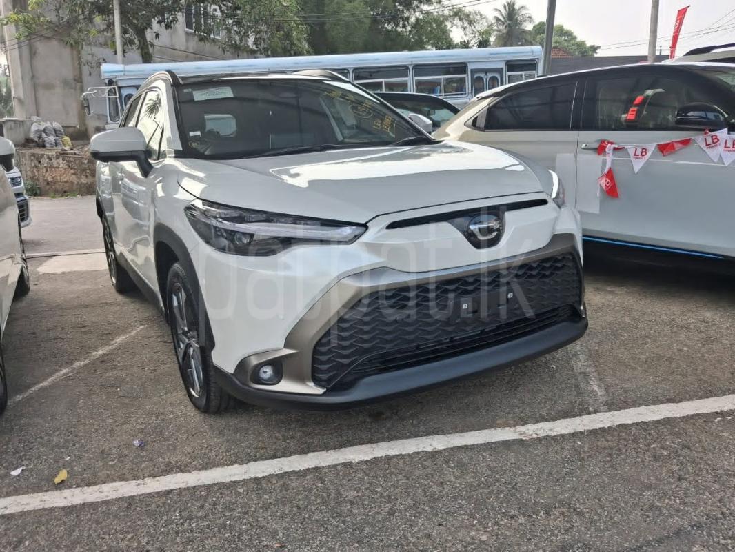 Advertisement image 2