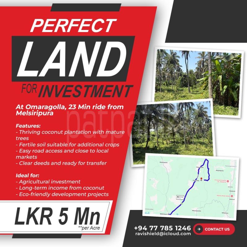 Agricultural Land for Sale in Ibbagamuwa ads-image-1