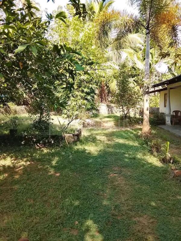 House for Sale in Ibbagamuwa