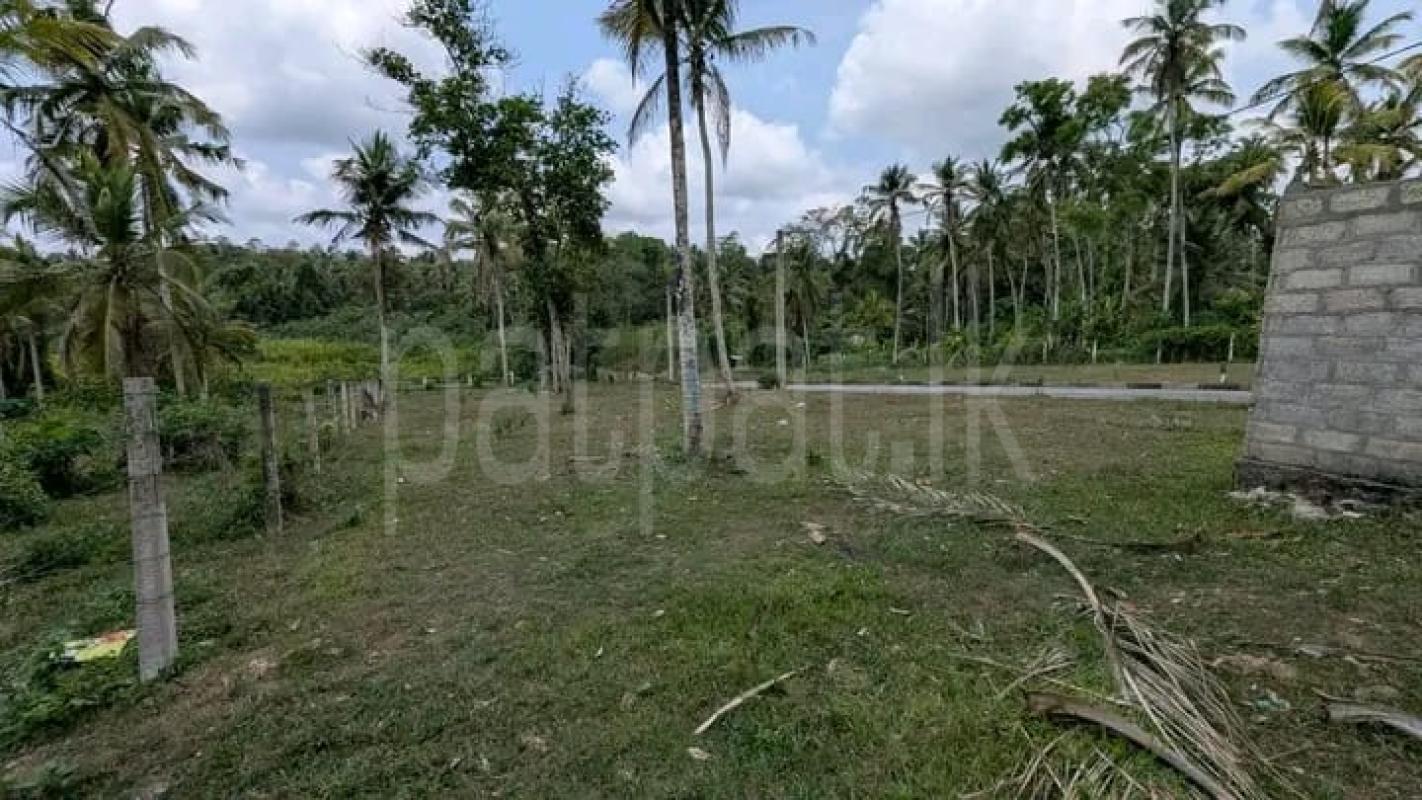 Commercial Land for Sale in Kalagedihena