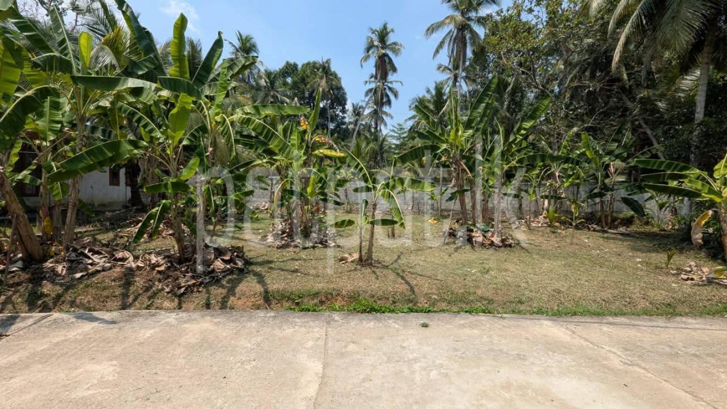 Residential Land for Sale in Yakkala