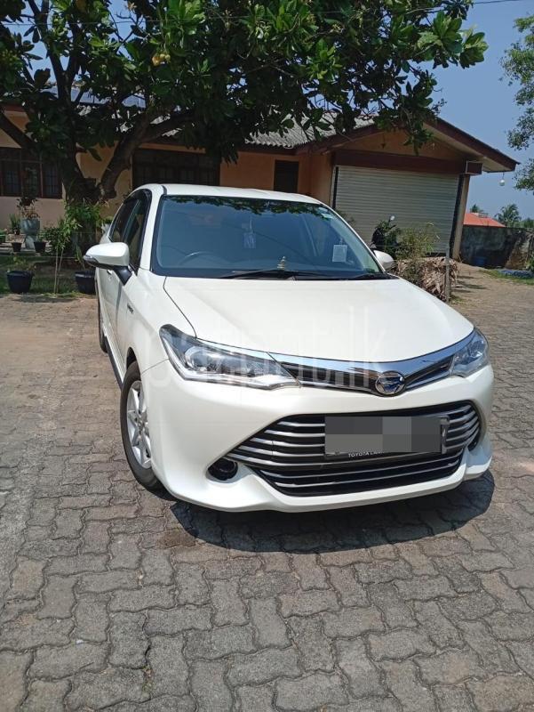 Advertisement image 1