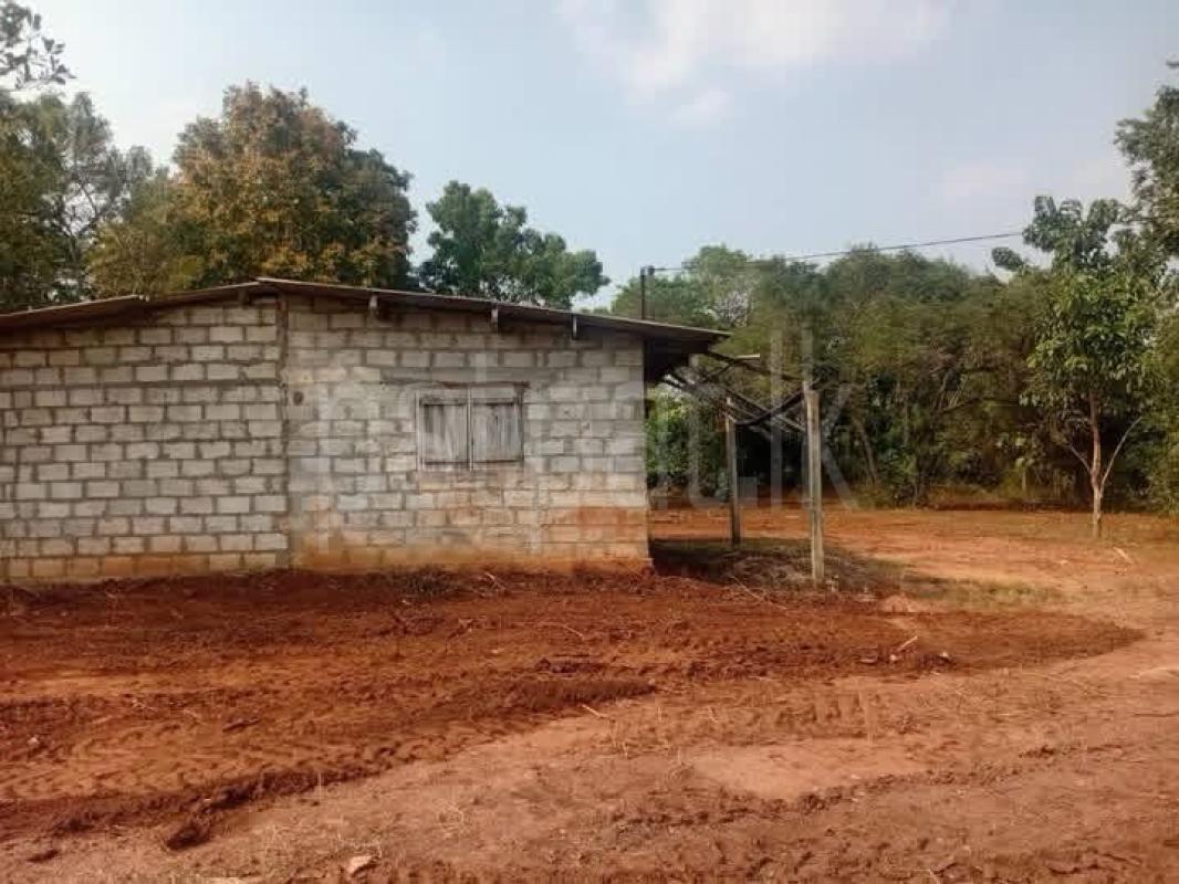 Residential Land for Sale in Talawa ads-image-1