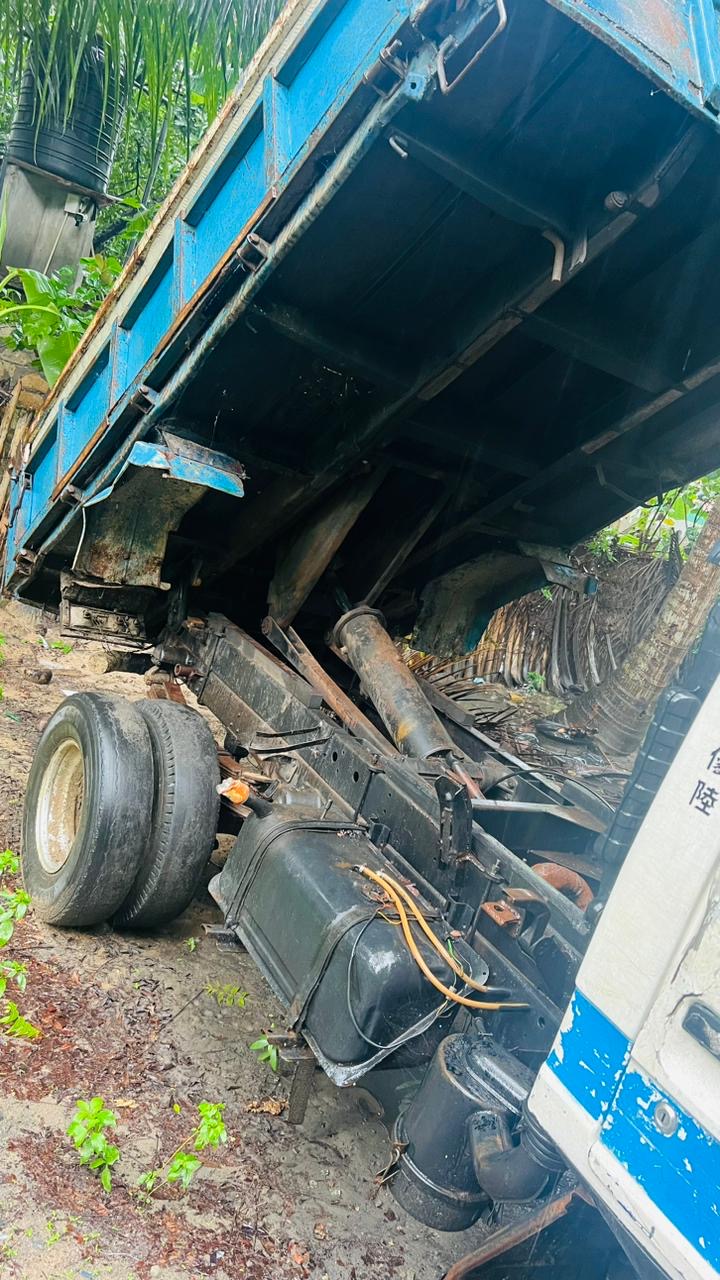 Isuzu ELF 1982 - பயன்படுத்தப்பட்டது டிரக் sale in Sri Lanka - patpat.lk