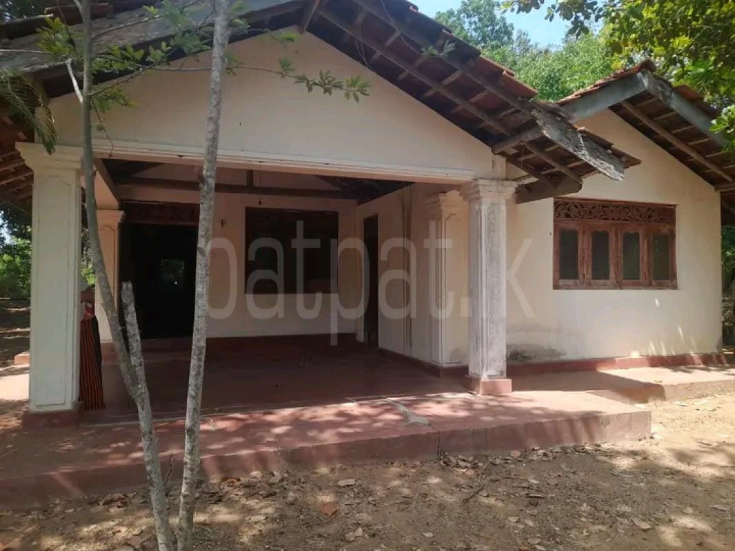 House for Sale in Ranna ads-image-1