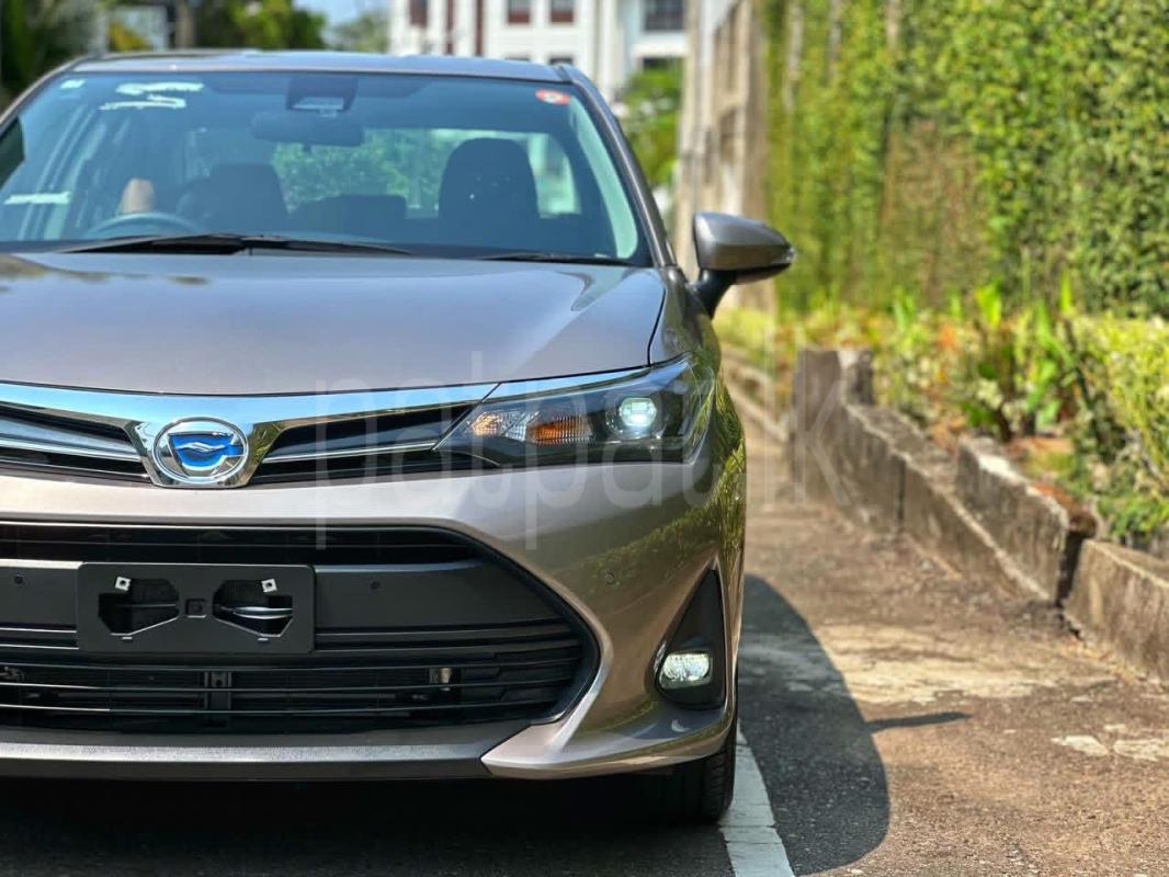 Advertisement image 6