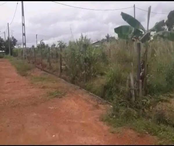 Residential Land for Sale in Kahathuduwa