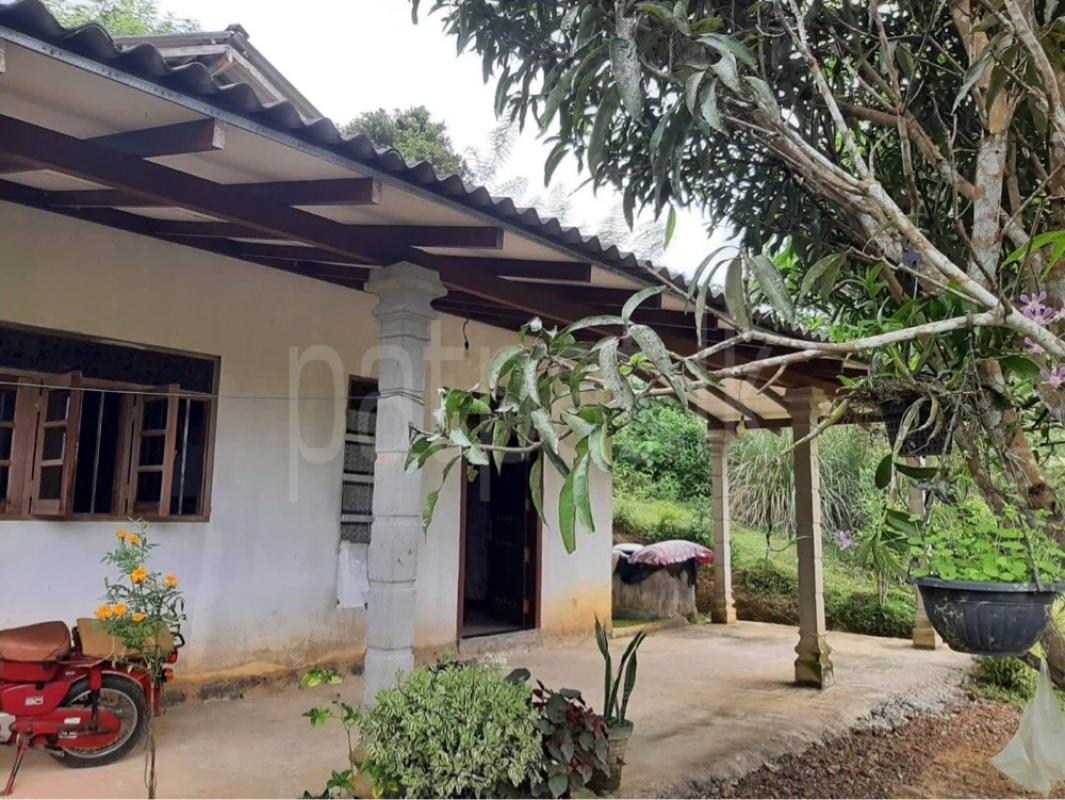 House for Sale in Habaraduwa ads-image-1