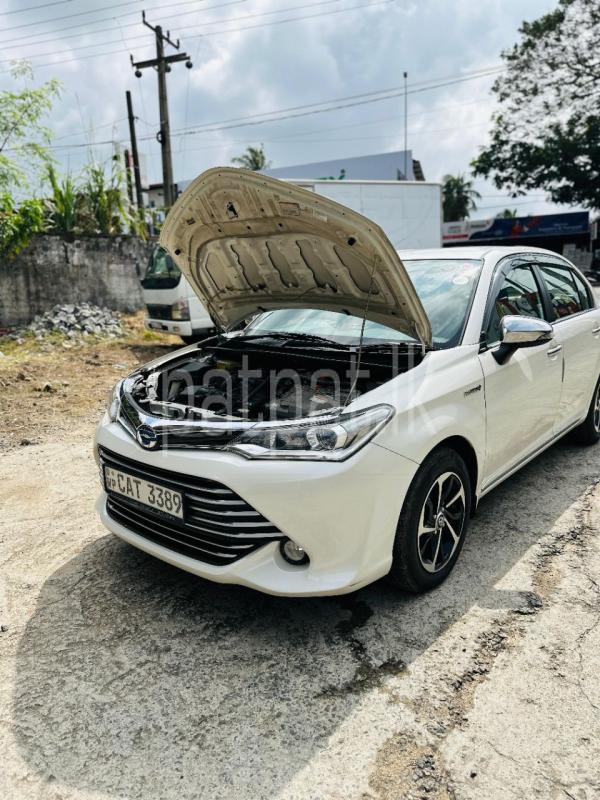 Advertisement image 4