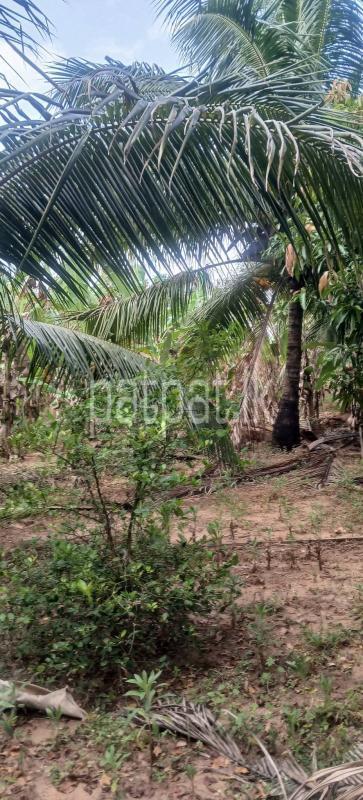 Agricultural Land for Sale in Kataragama