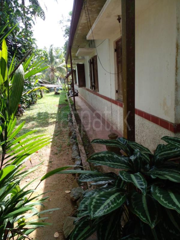 House for Sale in Kirindiwela ads-image-1