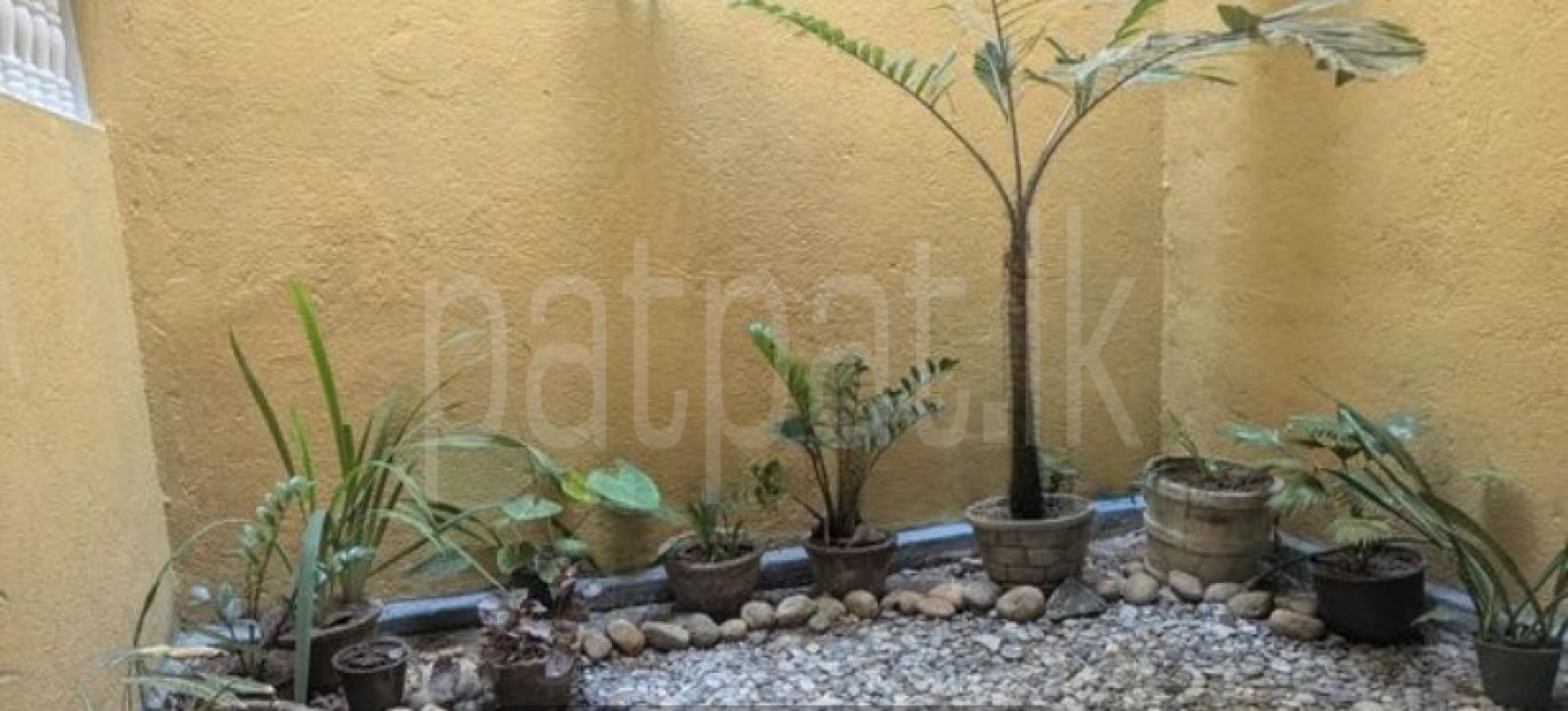 House for Rent in Dehiwala