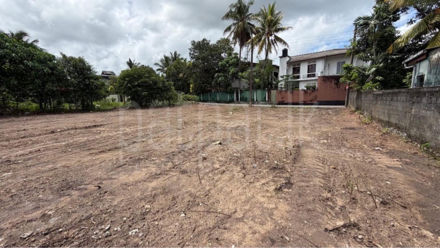 Residential Land for Sale in Pannipitiya