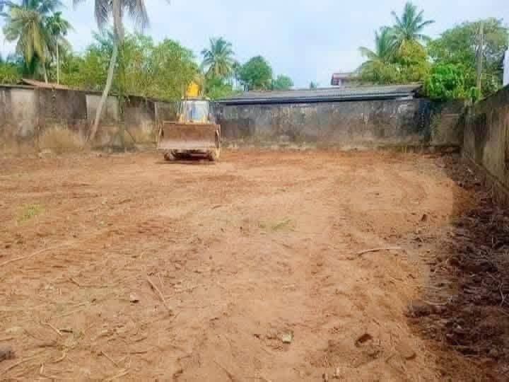 Agricultural Land for Sale in Panadura