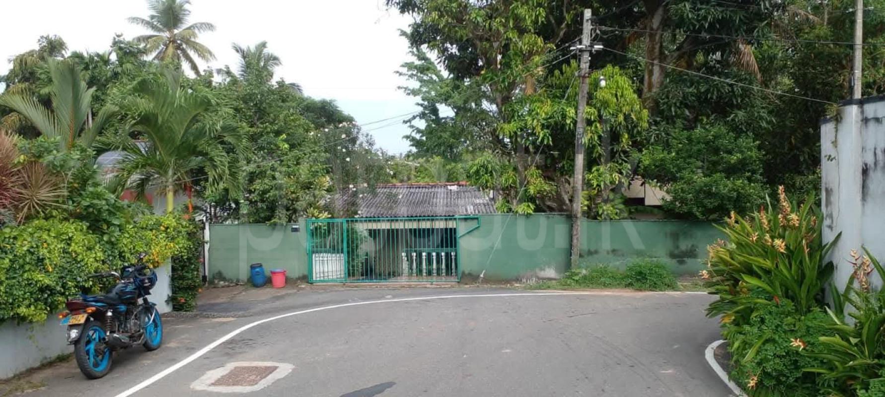 Residential Land for Sale in Pita Kotte