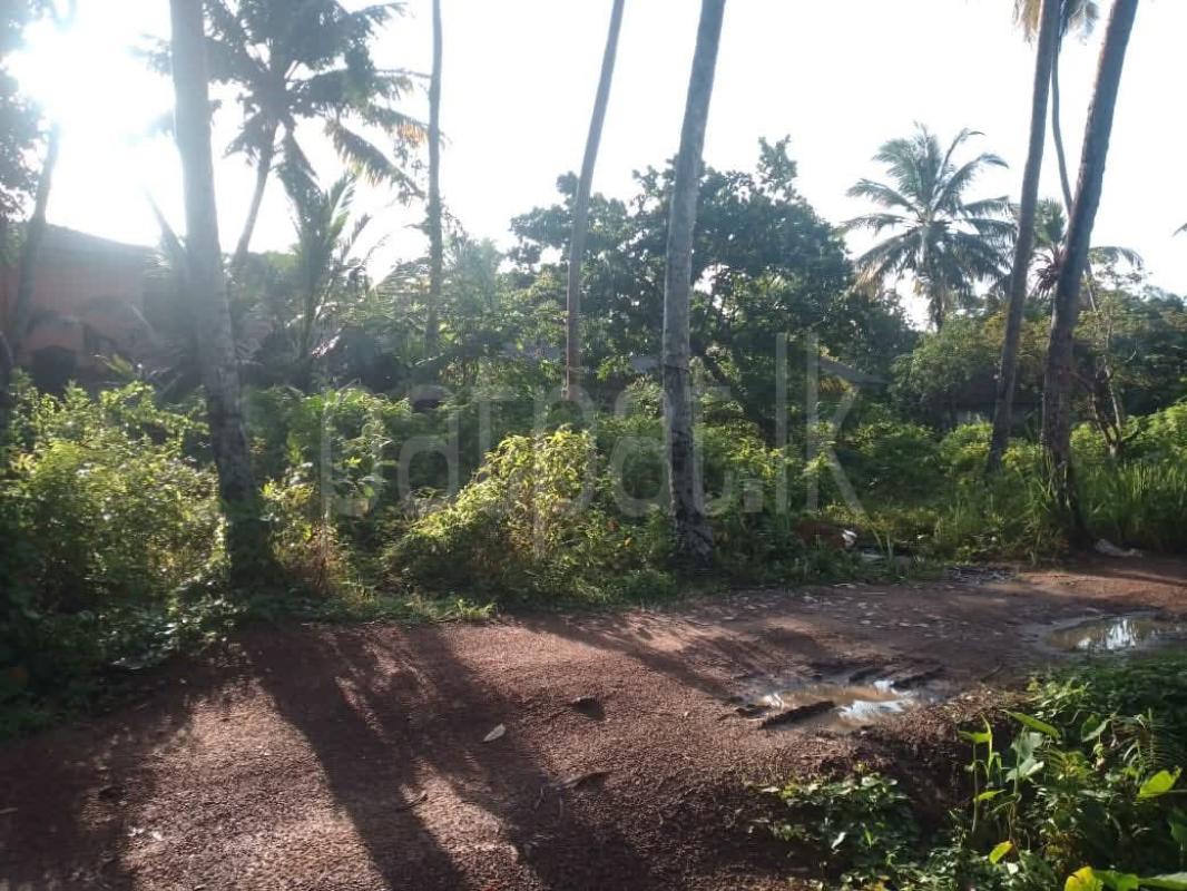 Commercial Land for Sale in Unawatuna ads-image-1