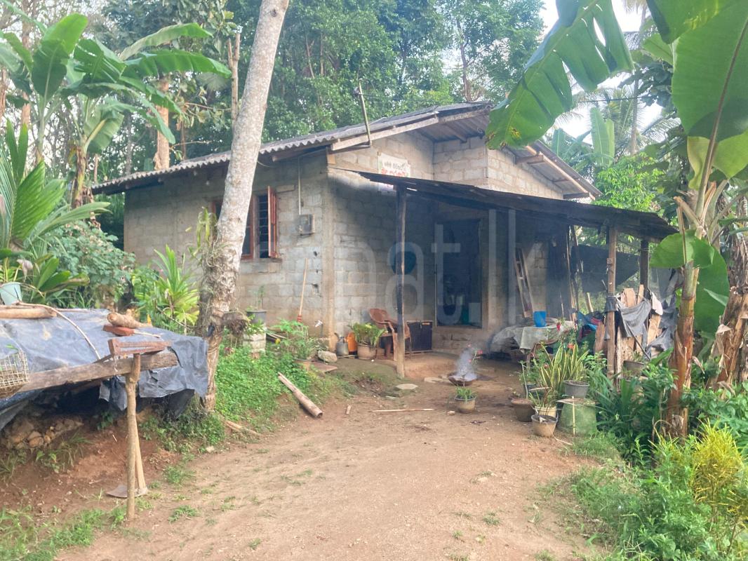 Residential Land for Sale in Gelioya ads-image-1