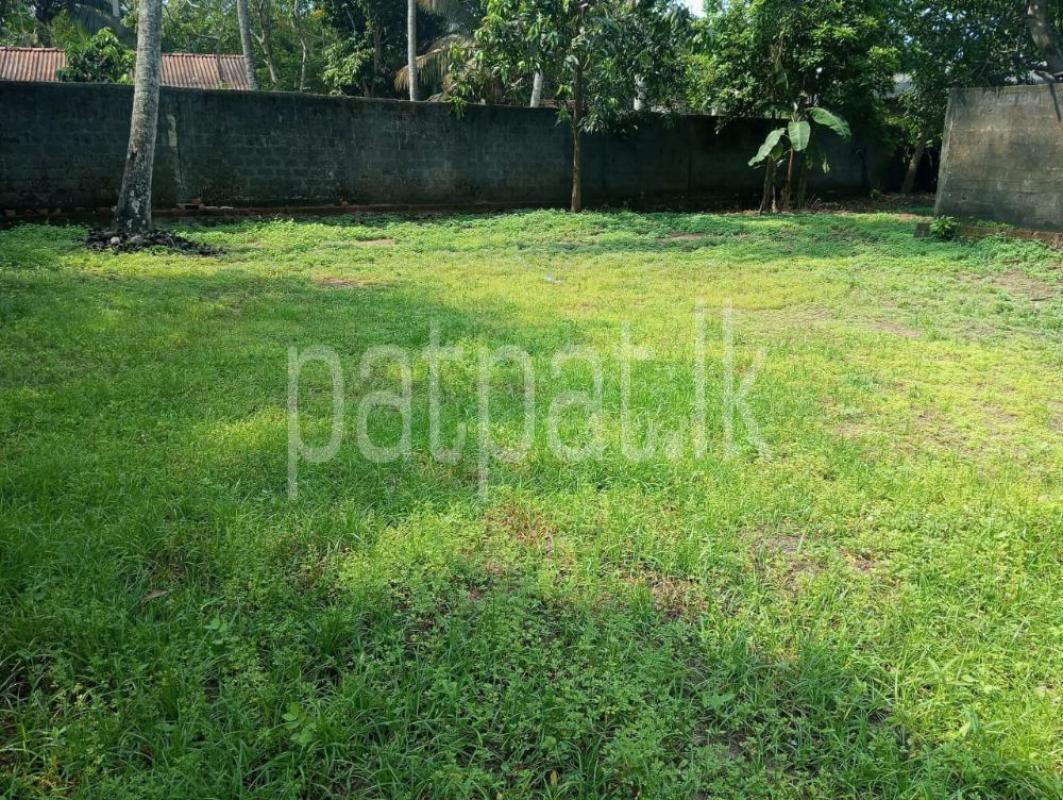 Advertisement image 1