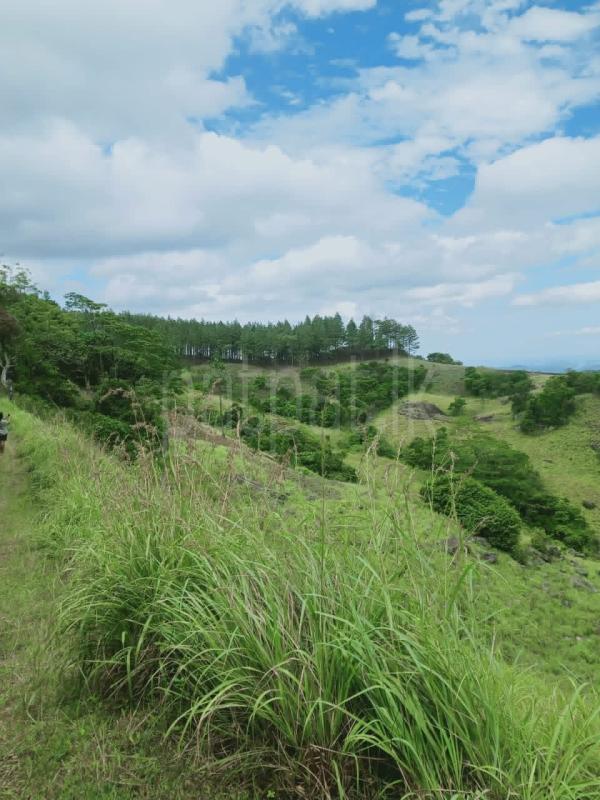 Commercial Land for Sale in Matale