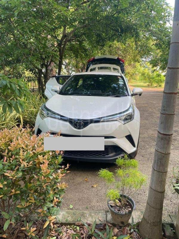 Advertisement image 1