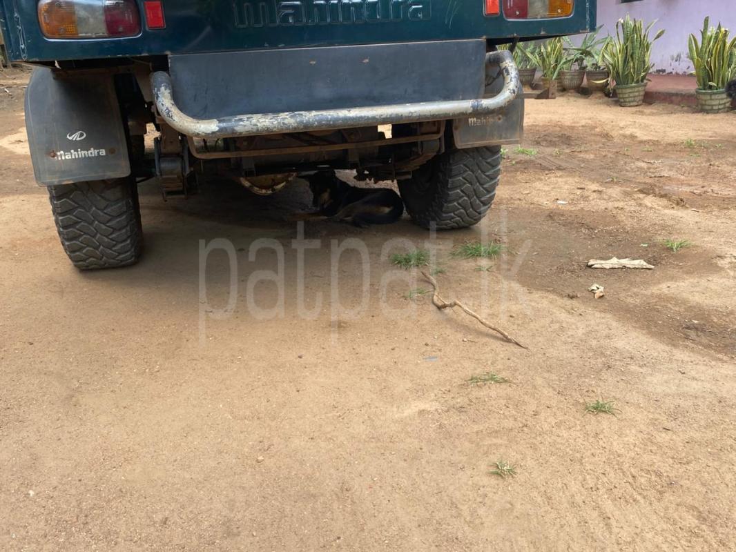 Advertisement image 6