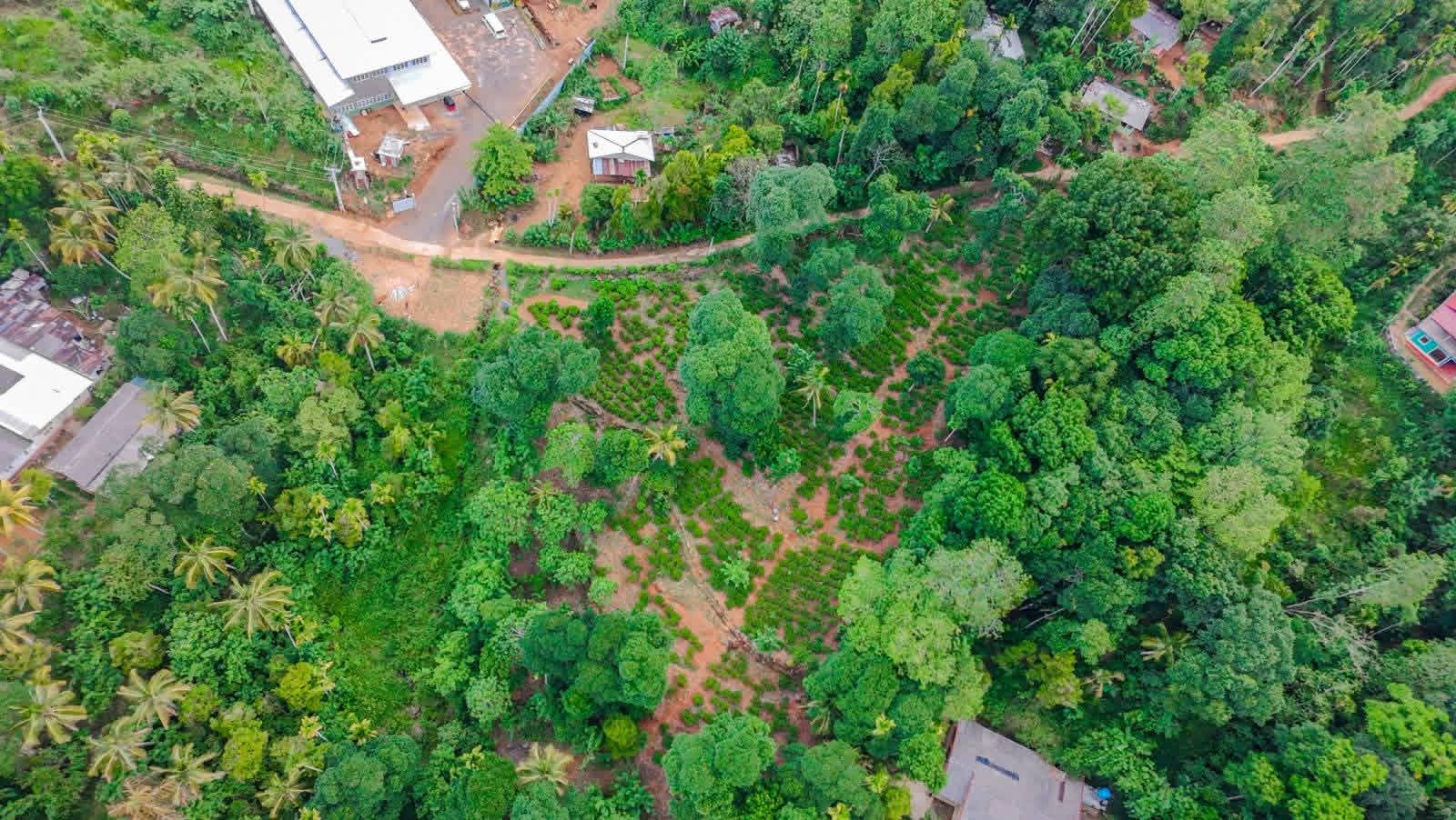 Residential Land for Sale in Nuwara Eliya