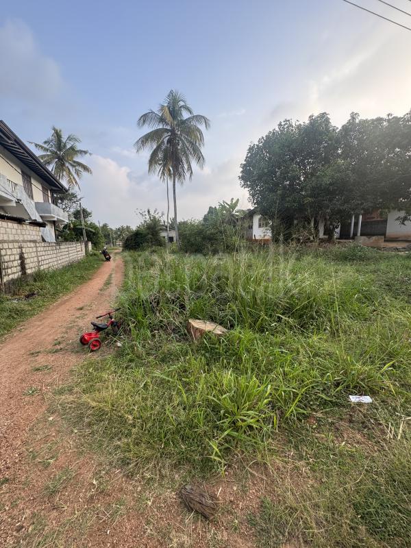 Commercial Land for Sale in Kurunegala