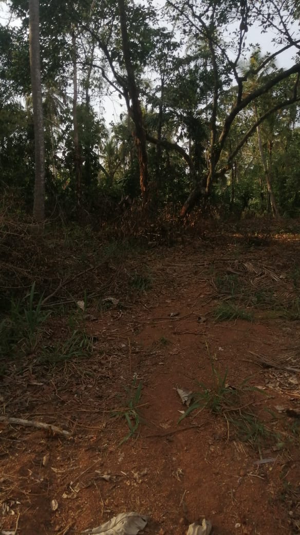 Residential Land for Sale in Kuliyapitiya