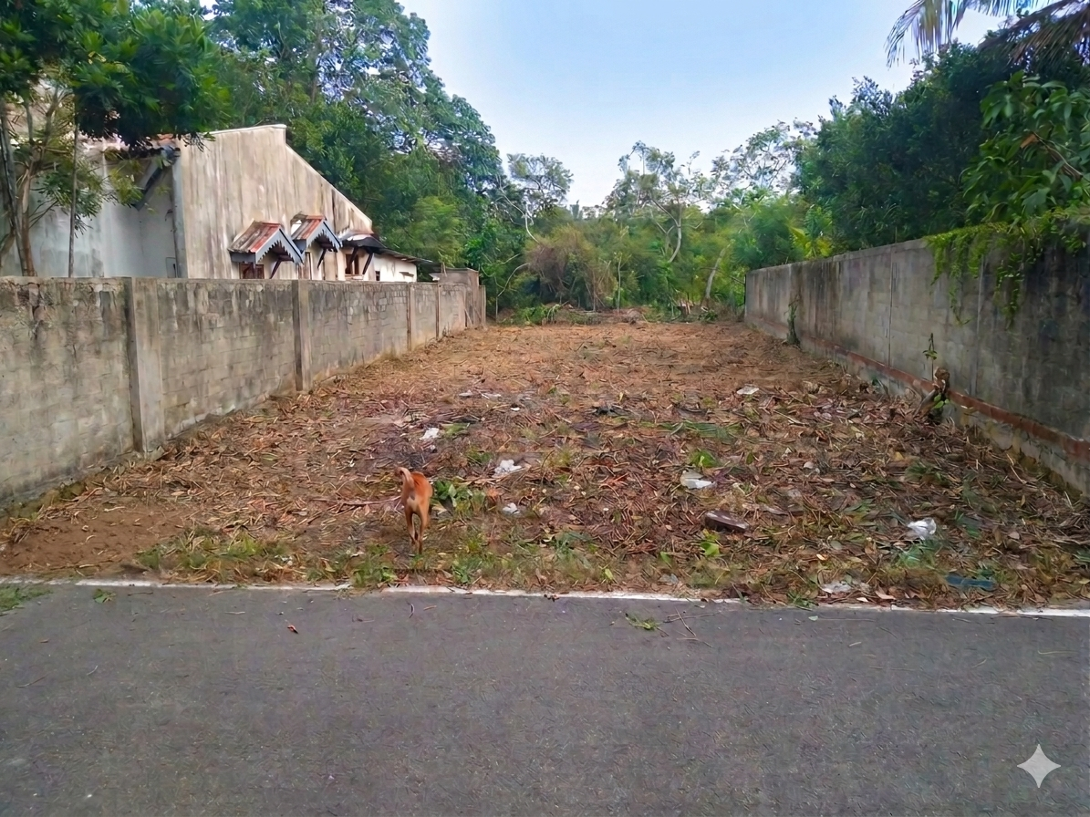Residential Land for Sale in Ja-Ela ads-image-1